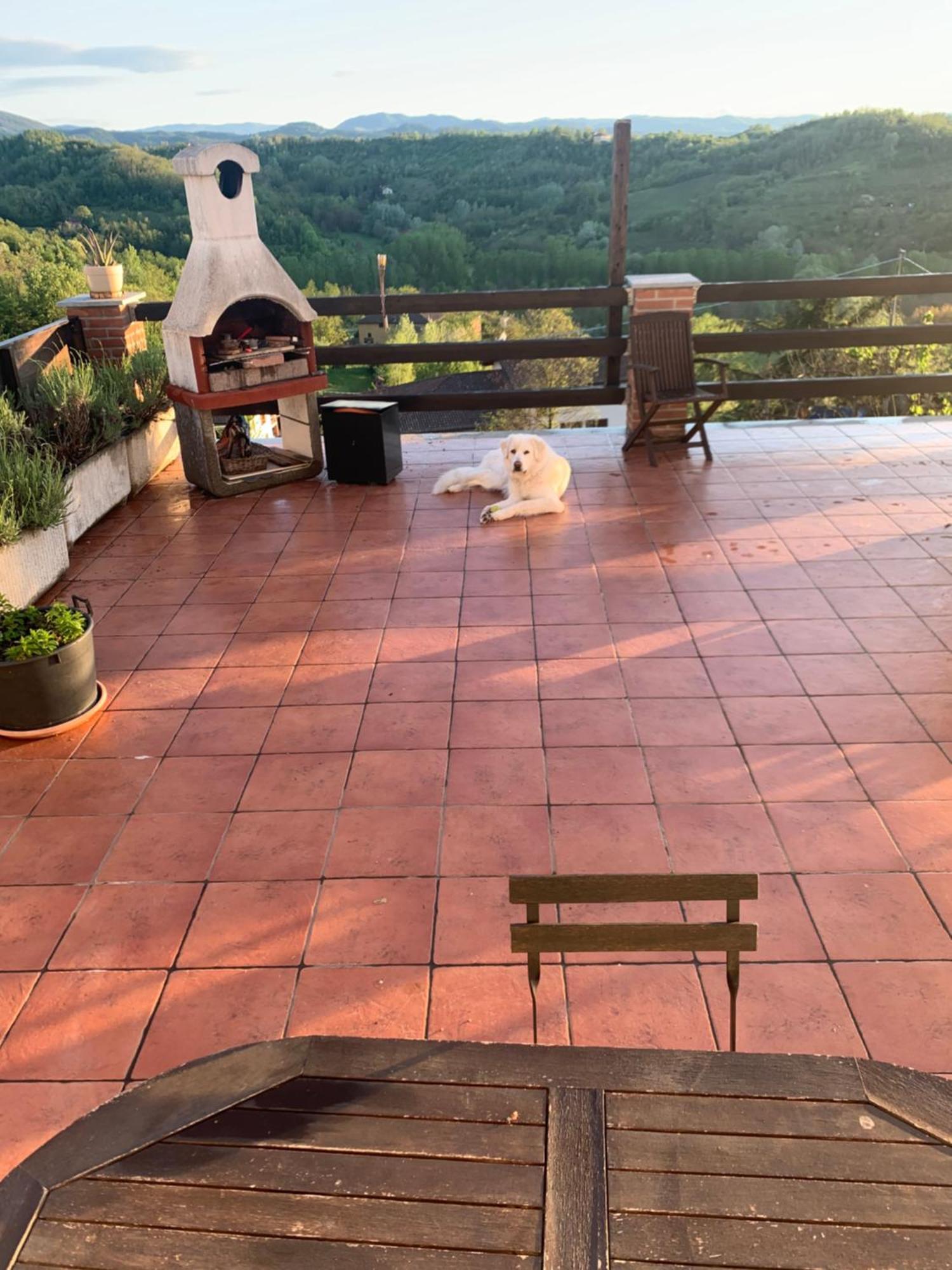 La Casa Di Bacco B&B Lerma Extérieur photo